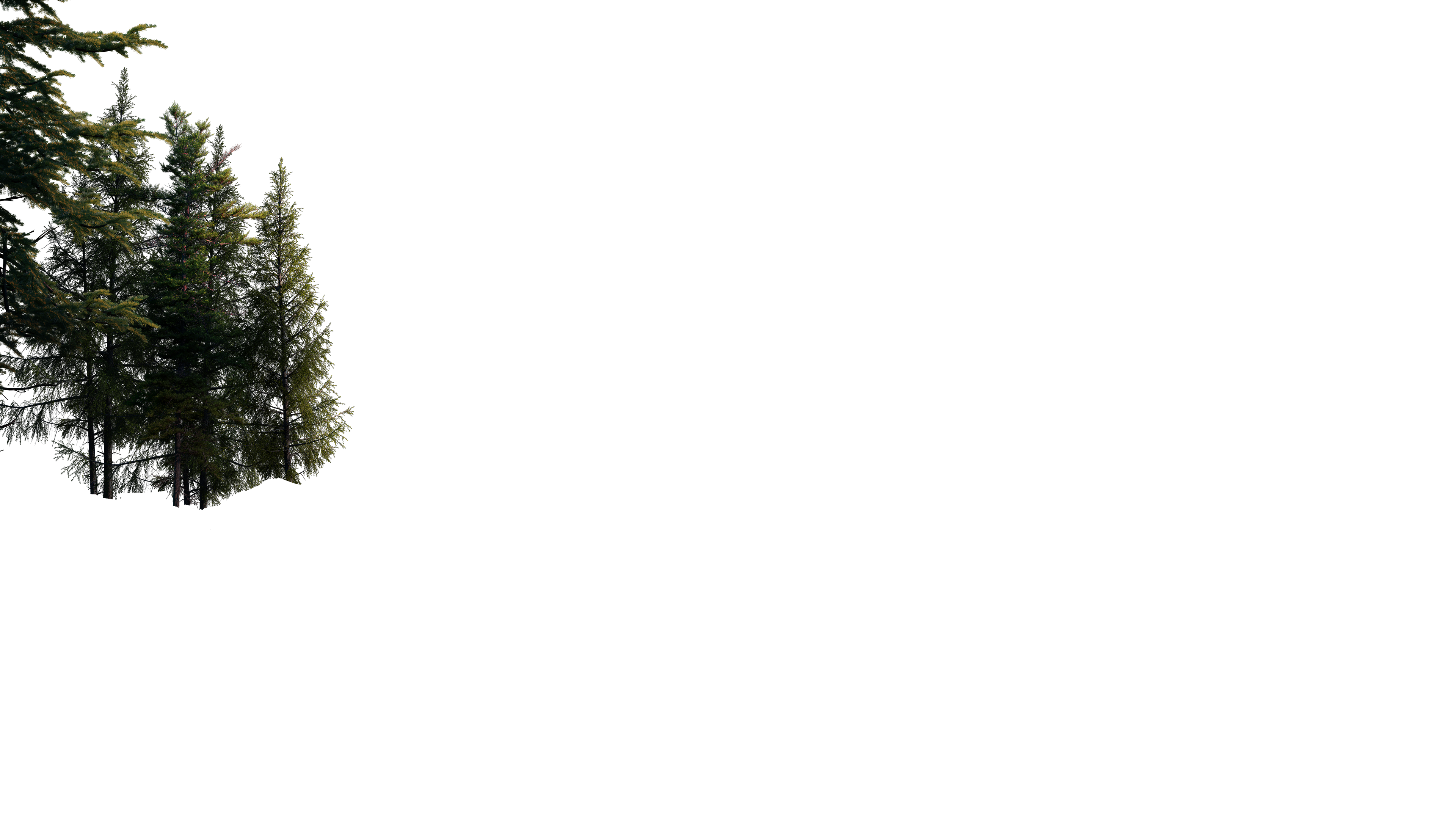 Trees